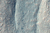 South Facing Crater Gullies West of Argyre Region