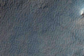 Terrain Sample