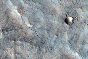 Fine-Scale Channel and Branching Sinuous Ridge on Fan in Nilosyrtis Mensae