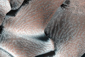 Dune Monitoring in Crater