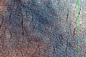Scalloped Depressions in Utopia Planitia