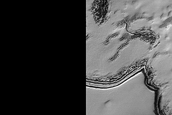Monitor South Polar Residual Cap