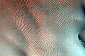 Dune Monitoring in Milankovic Crater