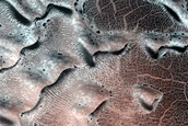 Dune Monitoring in Crater