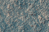 Circular Rocky Patch