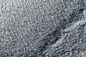 Scarp Monitoring