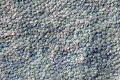 Scalloped Depressions in Mantling Material