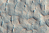 Scalloped Terrain in Utopia Planitia