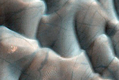 Dune Monitoring in Lyot Crater