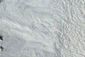 Slope Streak Monitoring in Tooting Crater