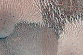Dune Monitoring in Impact Crater