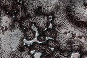 South Polar Residual Cap Monitoring