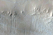 Candidate New Impact in Noctis Labyrinthus