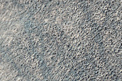 Monitoring Dust Devil Tracks in Terra Sirenum