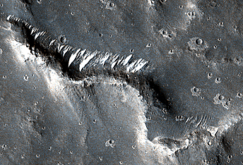 Sinuous Ridges in Elysium Planitia