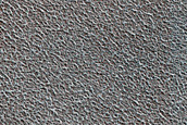 Vastitas Borealis Terrain Sample