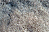 Northern Plains Contact