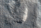Northern Plains Sample