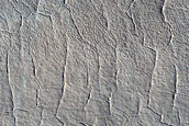 Utopia Planitia Scalloped Terrain