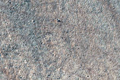 Periglacial Landscape Sample