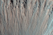Gully Monitoring in Northern Plains