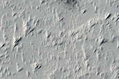 Candidate New Impact on Arsia Mons