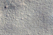 Northern Plains Sample