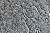 Gully Monitoring