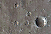 Infilled Crater in Orcus Patera