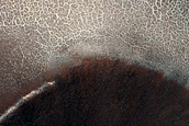 Gully Monitoring