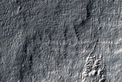 Gullies in Crater in Wall of Larger Crater in Terra Cimmeria