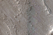 Terrain Sample