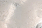 Surface Feature in Olympica Fossae