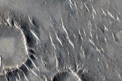 Isidis Planitia
