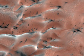 Olympia Undae Dune-Ice Survey