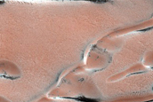 Seasonal Ice-Dune Interactions in Olympia Undae