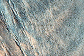 Gully Monitoring