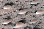 North Polar Duneforms and Frost