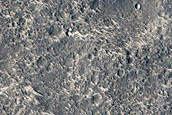 Region Surrounding InSight Lander