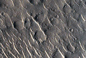 Parallel Lines of Cratered Cones in Isidis Planitia
