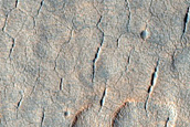 Scalloped Depressions in Utopia Planitia
