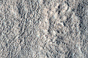Amazonis Planitia Dust Devil Region