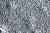 Crater Modification on Northern Plains