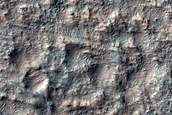 Region with Lobate Scarps and Dense Network of Linear Ridges
