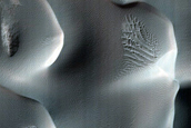 Dune Database Entry Number 0420-423