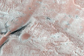 Survey of Dune-Ice Interactions near Olympia Undae