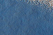 Dust Devil Track Monitoring in Arcadia Planitia