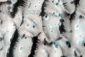 Dune Monitoring in Lomonosov Crater