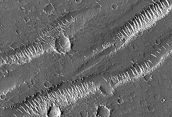 Ghost Craters of Utopia Planitia