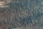 Variety of Gully Forms in Northern Lowlands Crater